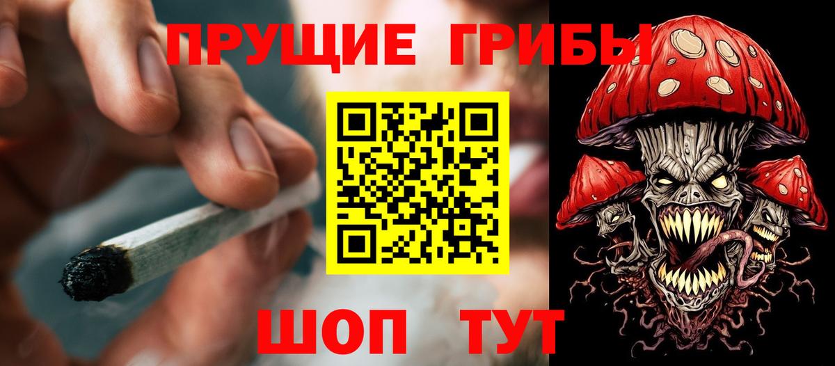 Всеволожск  Галлюциногенные грибы прущие грибы  Вход с VPN 